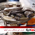 سوق الحوت باب الجبلي بصفاقس – “صبارص مليتة  وسيدي جمور ,الشلبة والميلة “من أجود أسماك فصل الصيف